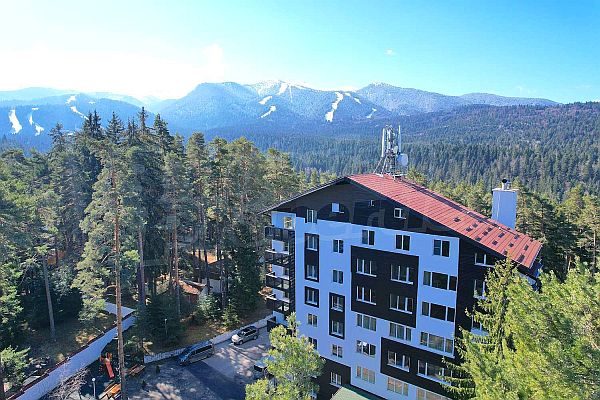 international real estate is less risky